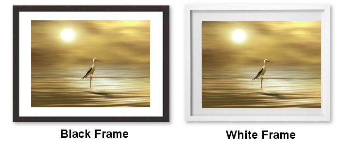 Select Your Frame